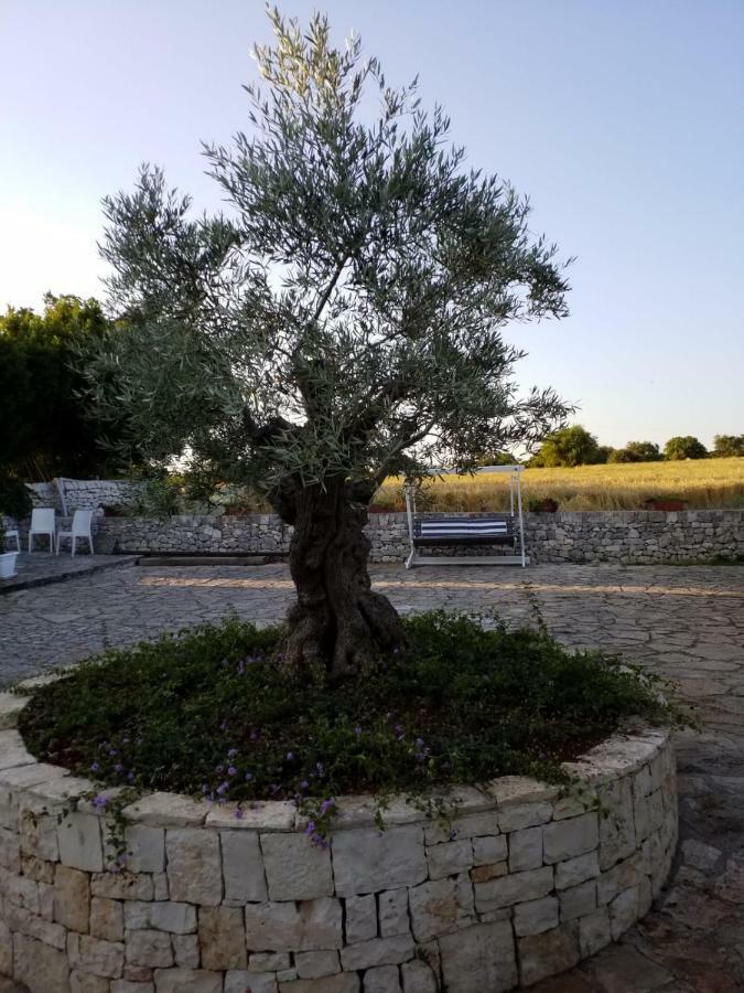 شقة Dimora Del Sole بوتينيانو المظهر الخارجي الصورة